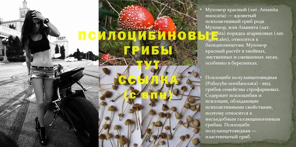 стаф Слюдянка