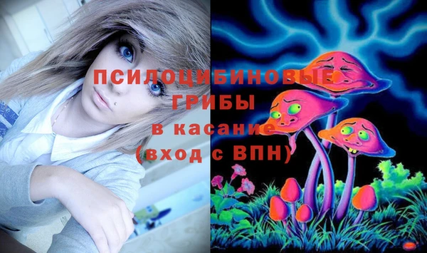 стаф Слюдянка
