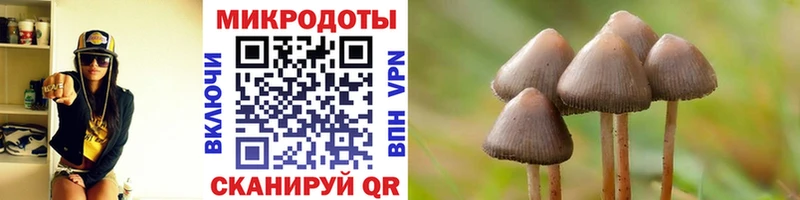 Купить закладки  Оханск  Псилоцибиновые грибы Psilocybine cubensis 